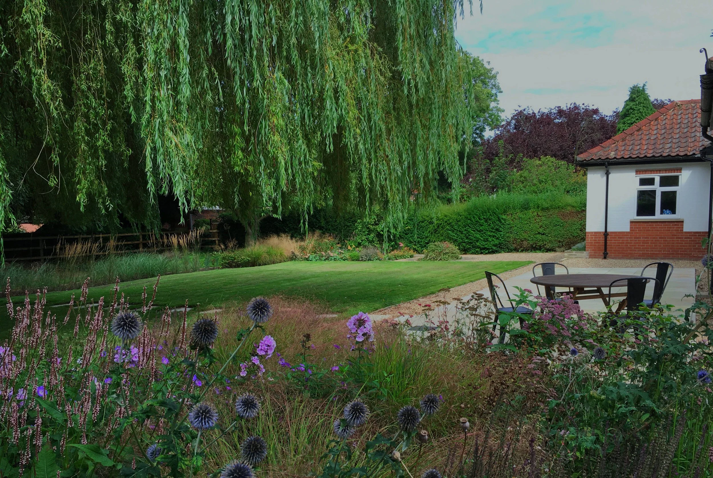 Mature weeping willow in a landscaped garden setting